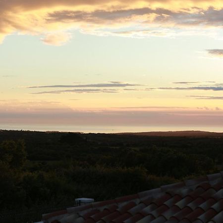 Villa Carolus-Luxurious Istrian Villa Barat  Eksteriør bilde